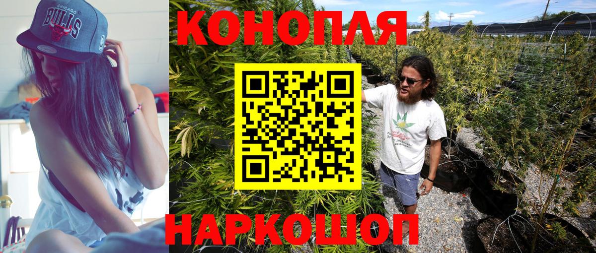 Шишки марихуана SATIVA & INDICA Брянск